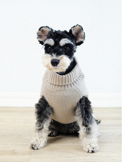 Wholesale Custom Cozy Cable Knit Dog Sweater – Stylish, Comfortable Winter Wear for B2B Product