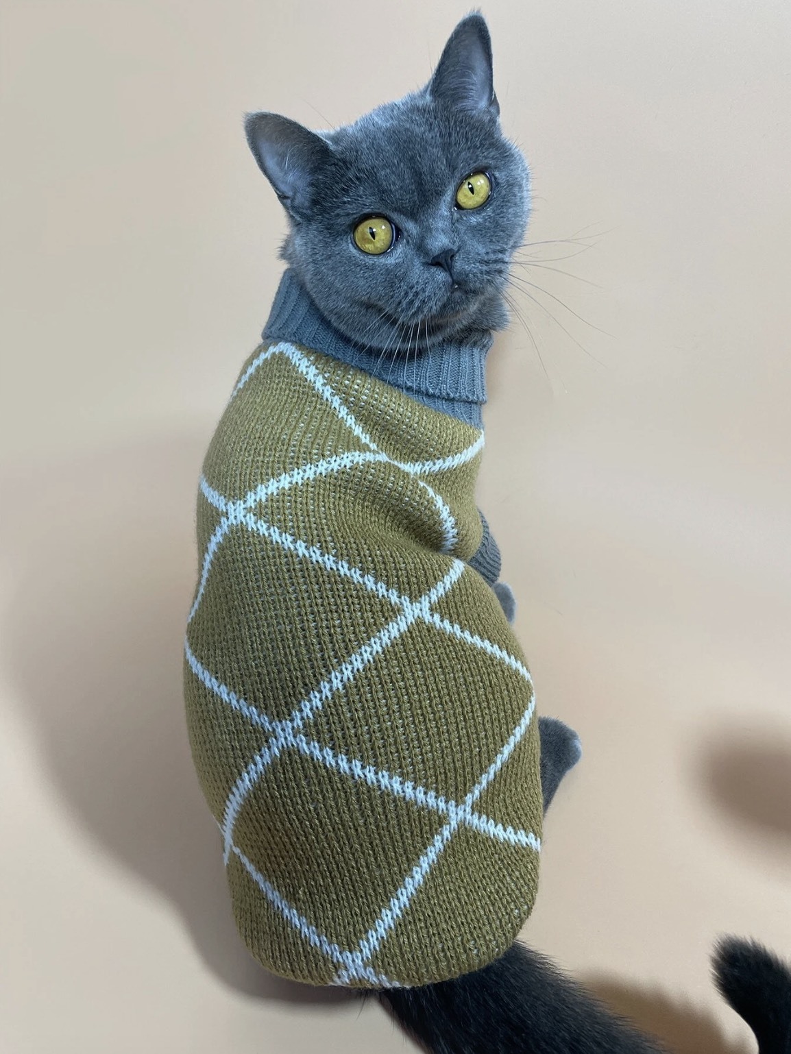 Wholesale Custom Stylish Knit Sweater for Cats – Cozy, Trendy Winter Wear for B2B