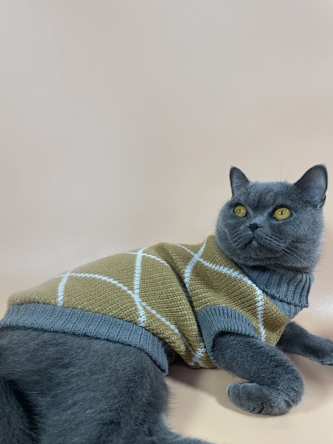 Wholesale Custom Stylish Knit Sweater for Cats – Cozy, Trendy Winter Wear for B2B