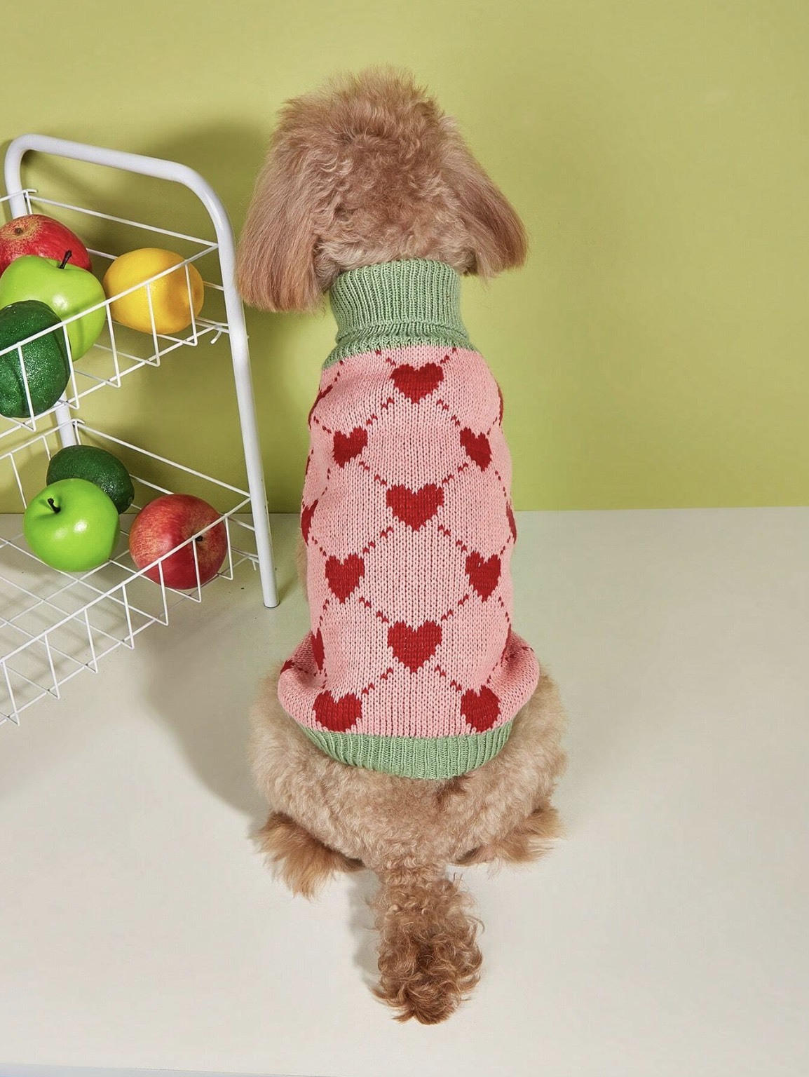 Wholesale Custom Cozy Knit Dog Sweater – Soft, Stylish, and Comfortable Pet Wear for B2B
