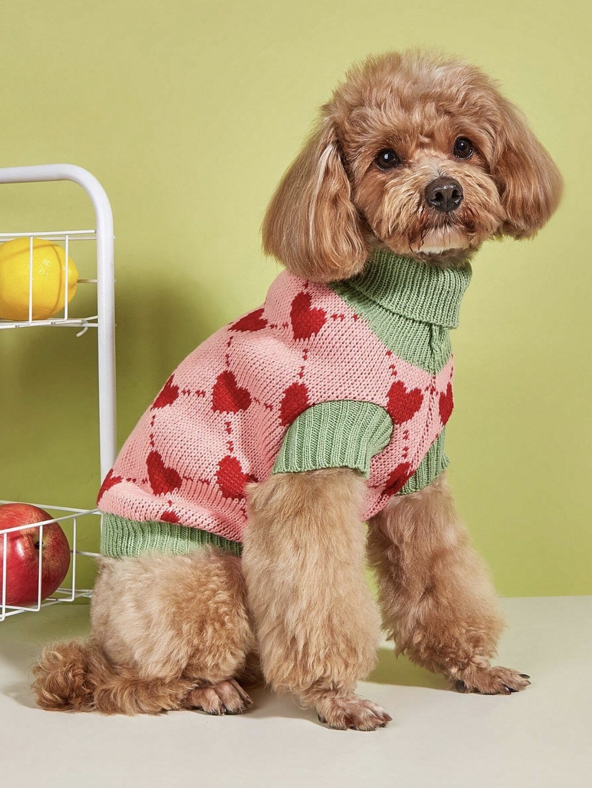 Wholesale Custom Cozy Knit Dog Sweater – Soft, Stylish, and Comfortable Pet Wear for B2B
