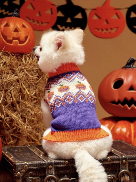 Wholesale ODM Halloween-Themed Knit Dog Sweater – Cozy & Festive Pet Wear for B2B Orders