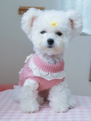 Wholesale ODM Floral Knit Dog Sweater – Soft, Stylish Pet Wear for B2B Orders