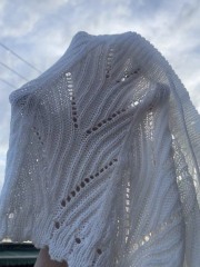 Wholesale ODM Crochet Lace Beach Shorts – Trendy, Comfortable, and Perfect for Summer
