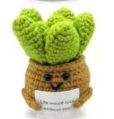 Handmade Crocheted Cactus Plant with Motivational Message