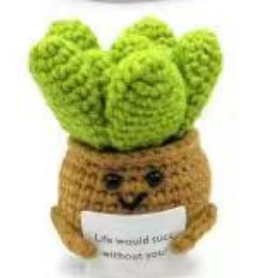 Handmade Crocheted Cactus Plant with Motivational Message