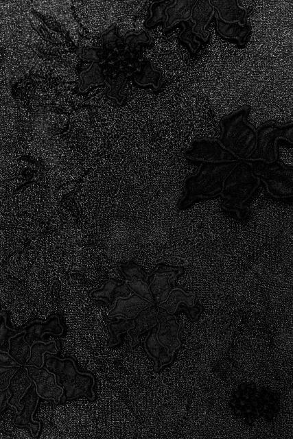 OEM ODM Black Floral Lace Sheer Dress
