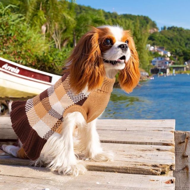 Wholesale Cozy Pink Plaid Dog Sweater – Stylish & Comfortable for Your Pet