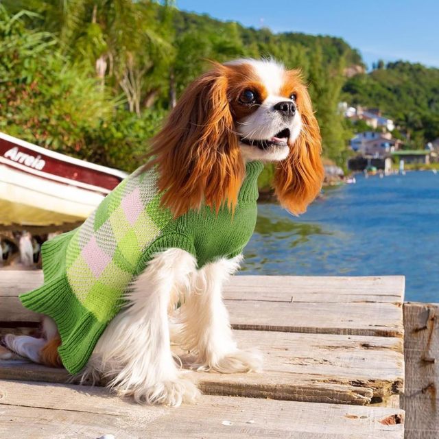 Wholesale Cozy Pink Plaid Dog Sweater – Stylish & Comfortable for Your Pet