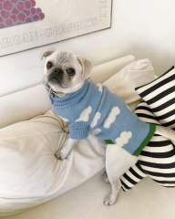Customized Sky Cloud Dog Sweater – Soft Blue Knit Pullover for Small Dogs