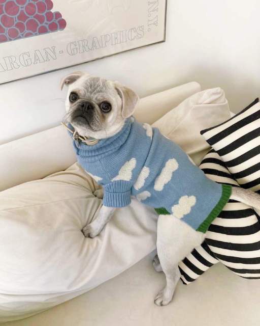 Customized Sky Cloud Dog Sweater – Soft Blue Knit Pullover for Small Dogs