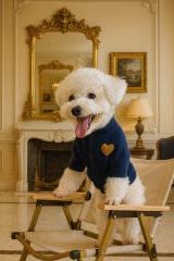 Customized Navy Blue Heart Dog Sweater – Classic Knit Pullover for Small and Medium Dogs