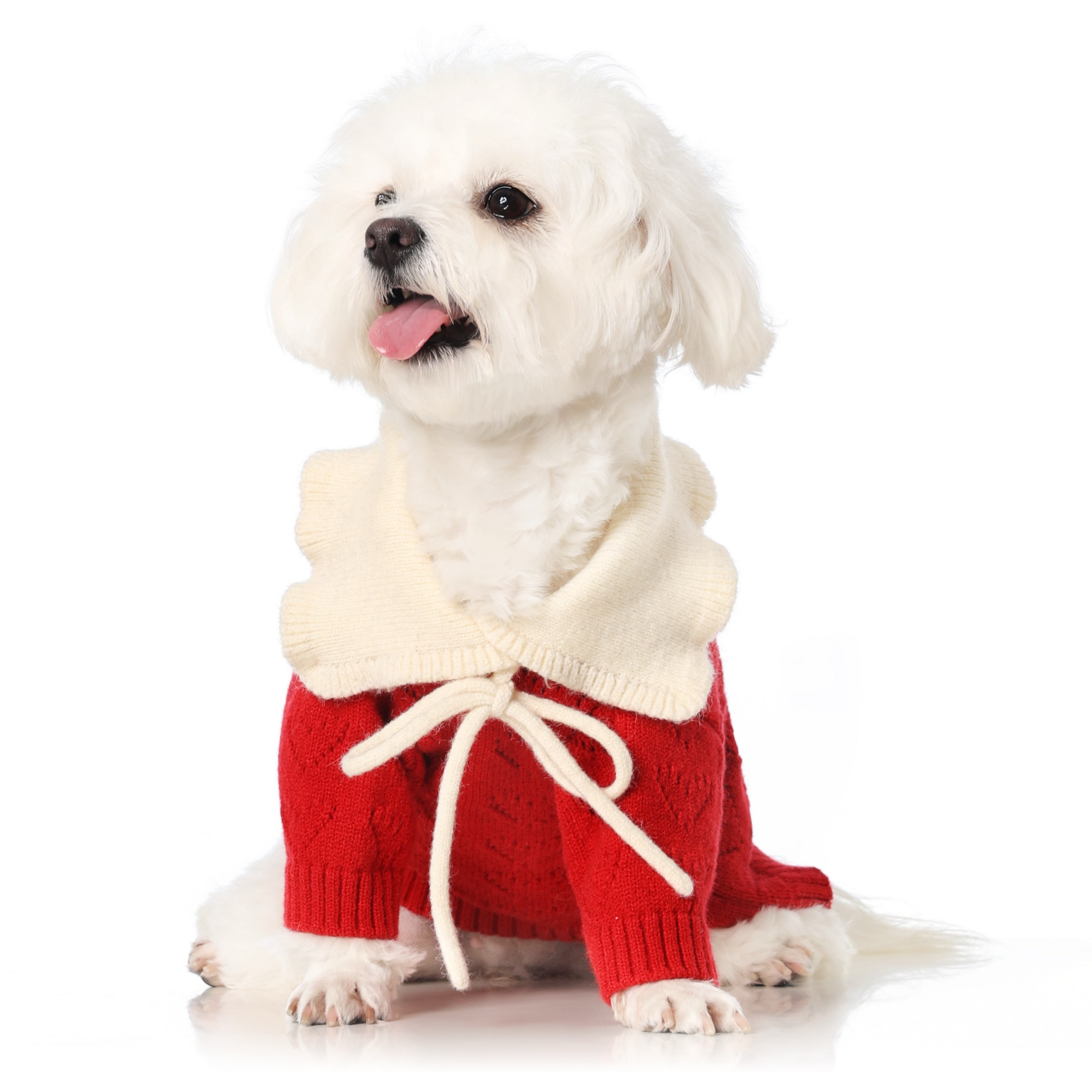 Customized Red Knit Dog Sweater with Cream Collar – Cozy Winter Pullover for Small Dogs