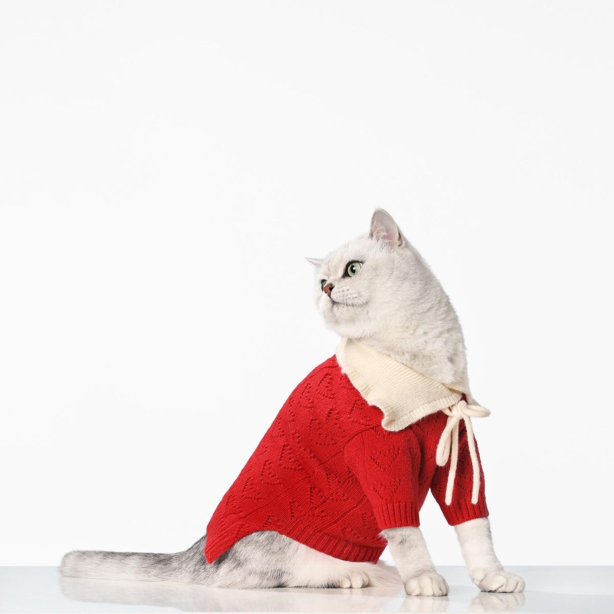 Customized Red Knit Dog Sweater with Cream Collar – Cozy Winter Pullover for Small Dogs