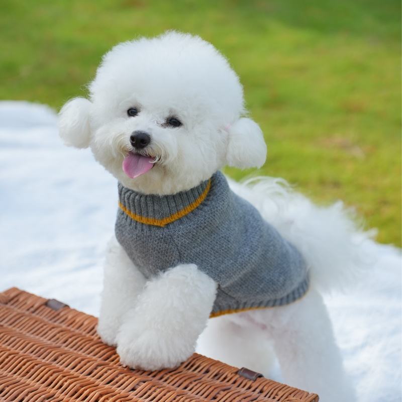 Factory Direct Classic Gray Dog Sweater – Cozy Knit Pullover with Yellow Trim for Small Dogs