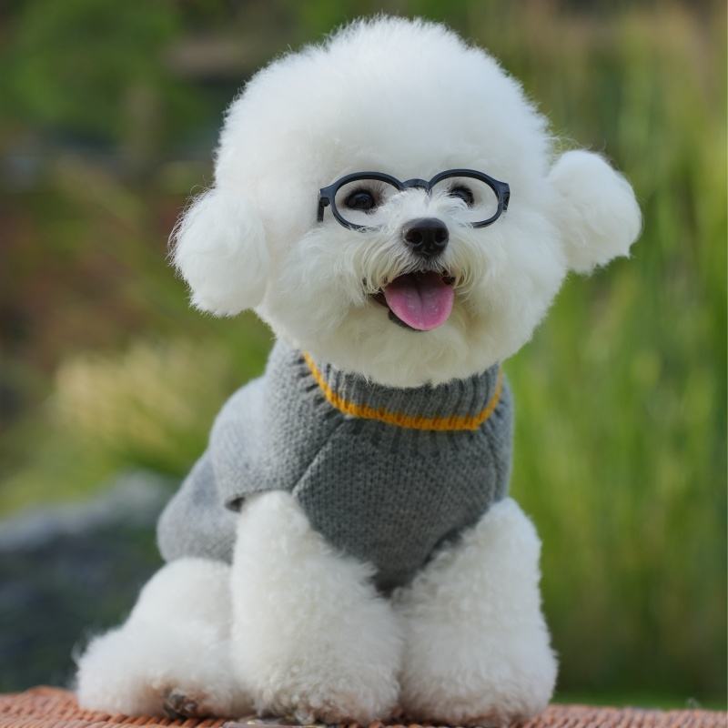 Factory Direct Classic Gray Dog Sweater – Cozy Knit Pullover with Yellow Trim for Small Dogs