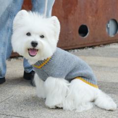 Factory Direct Classic Gray Dog Sweater – Cozy Knit Pullover with Yellow Trim for Small Dogs