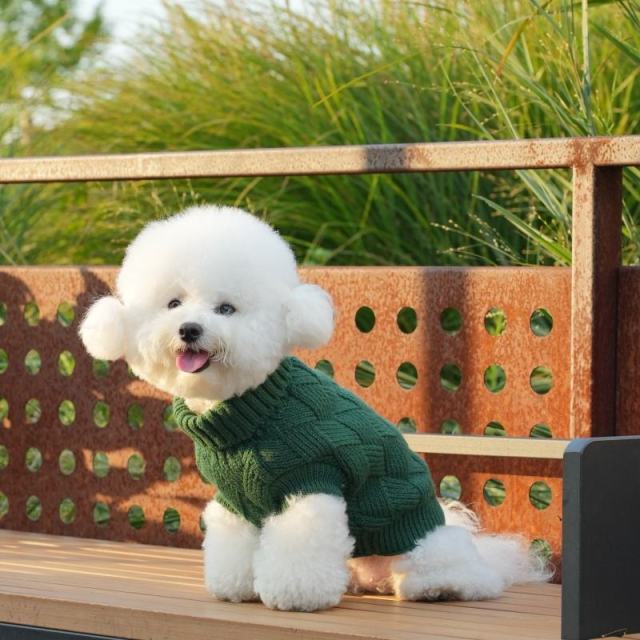 Factory Direct Forest Green Dog Sweater – Soft Cable Knit Pullover for Small Dogs