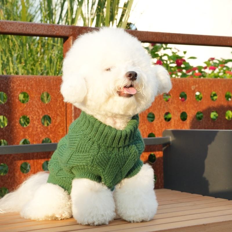 Factory Direct Forest Green Dog Sweater – Soft Cable Knit Pullover for Small Dogs