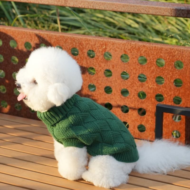 Factory Direct Forest Green Dog Sweater – Soft Cable Knit Pullover for Small Dogs