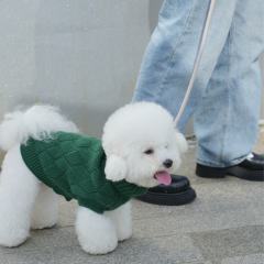 Factory Direct Forest Green Dog Sweater – Soft Cable Knit Pullover for Small Dogs