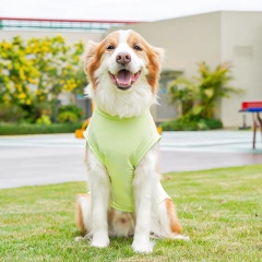 ODM OEM Lightweight Cooling Dog Vest for Outdoor Summer Wear