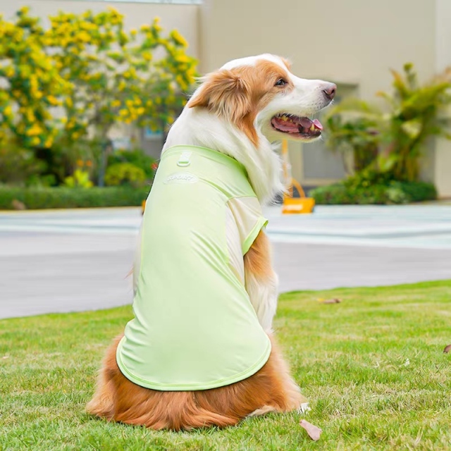 ODM OEM Lightweight Cooling Dog Vest for Outdoor Summer Wear