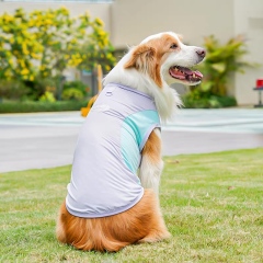 ODM OEM Lightweight Cooling Dog Vest for Outdoor Summer Wear