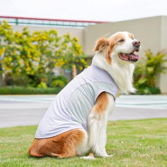 ODM OEM Lightweight Cooling Dog Vest for Outdoor Summer Wear