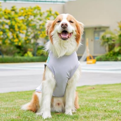 ODM OEM Lightweight Cooling Dog Vest for Outdoor Summer Wear