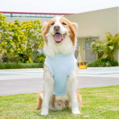 ODM OEM Lightweight Cooling Dog Vest for Outdoor Summer Wear
