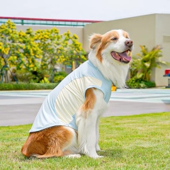 ODM OEM Lightweight Cooling Dog Vest for Outdoor Summer Wear