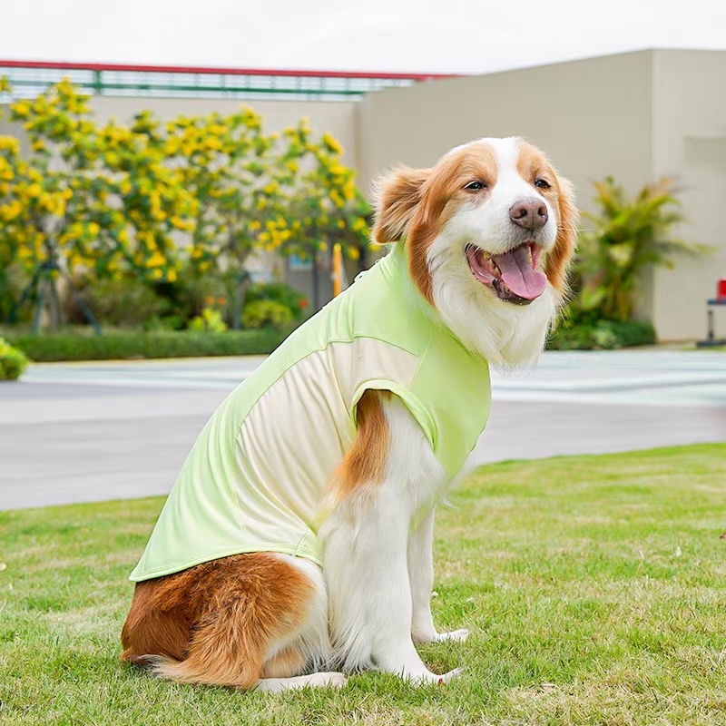 ODM OEM Lightweight Cooling Dog Vest for Outdoor Summer Wear