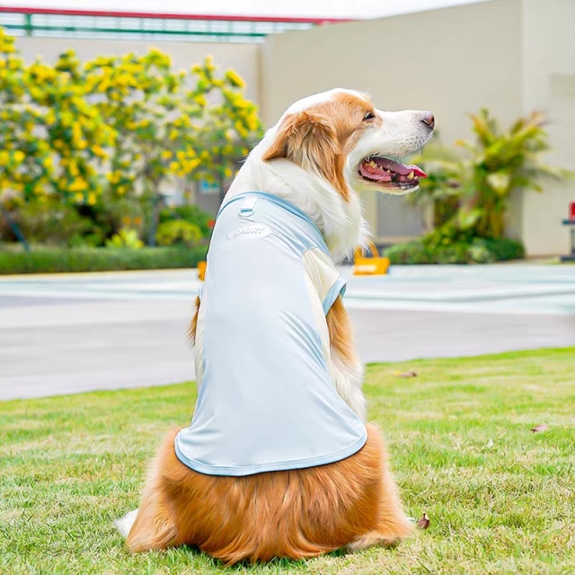 ODM OEM Lightweight Cooling Dog Vest for Outdoor Summer Wear