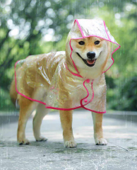 Wholesale Transparent Hooded Dog Raincoat with Reflective Pink Trim