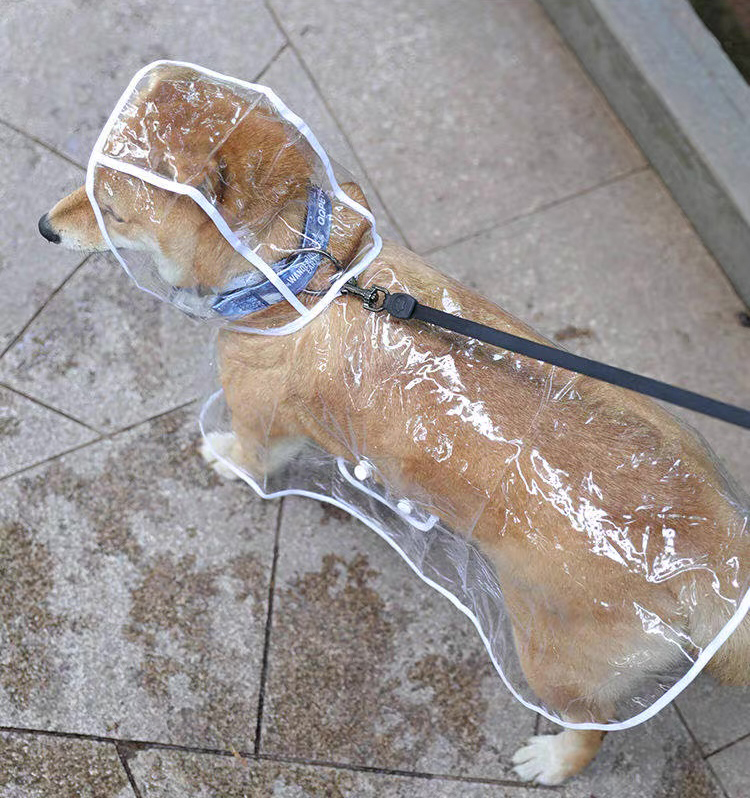 Wholesale Transparent Hooded Dog Raincoat with Reflective Pink Trim
