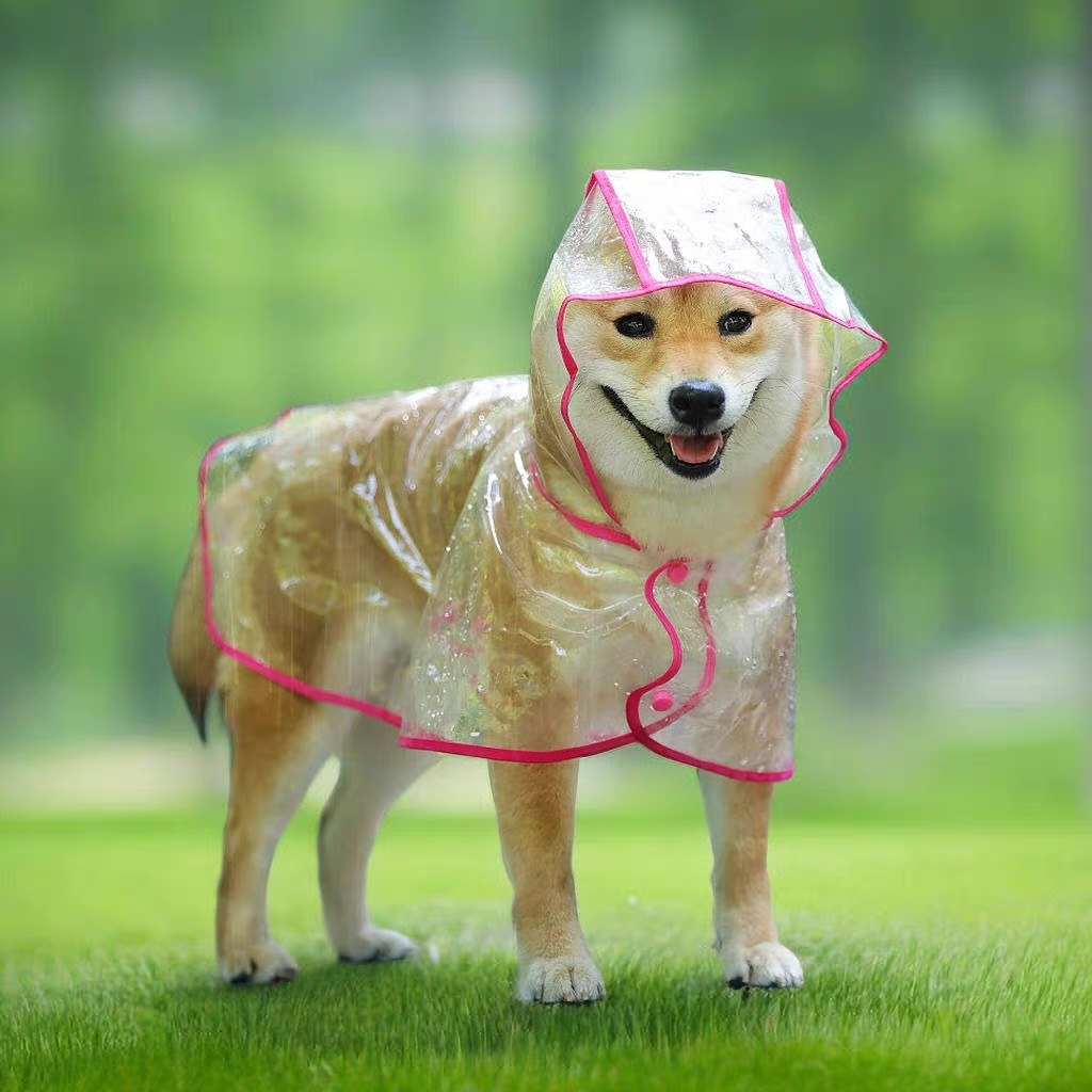 Wholesale Transparent Hooded Dog Raincoat with Reflective Pink Trim