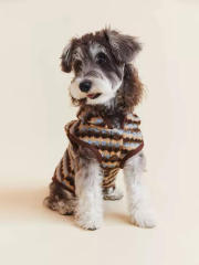 Factory Direct Striped Plush Hooded Dog Sweater Coat