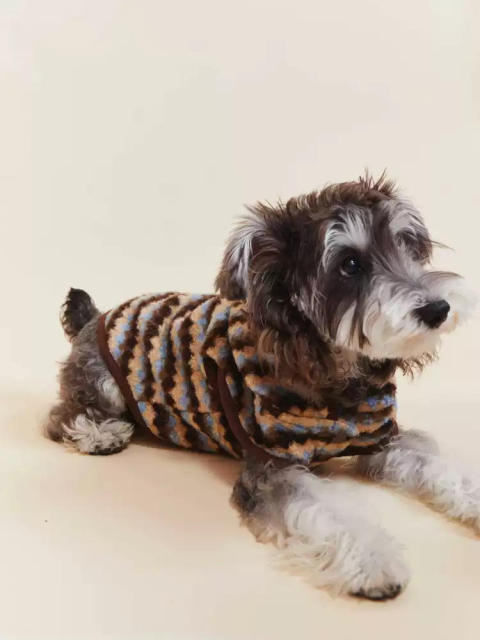 Factory Direct Striped Plush Hooded Dog Sweater Coat