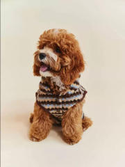 Factory Direct Striped Plush Hooded Dog Sweater Coat