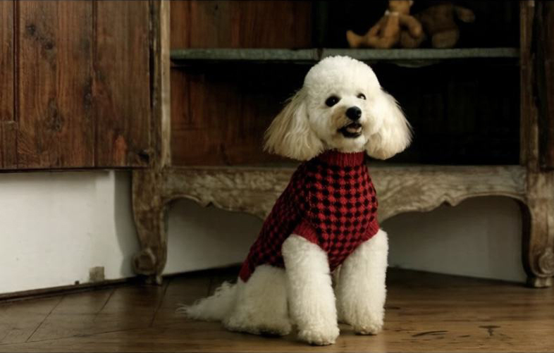 Factory Direct Blue Checkered Turtleneck Dog Sweater
