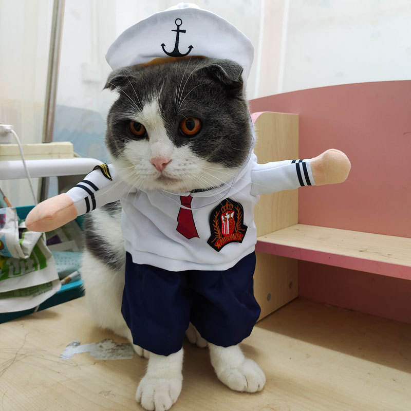 Factory Direct Funny Horror Doll Pet Costume with Wig & Faux Knife | Halloween Dog and Cat Outfit