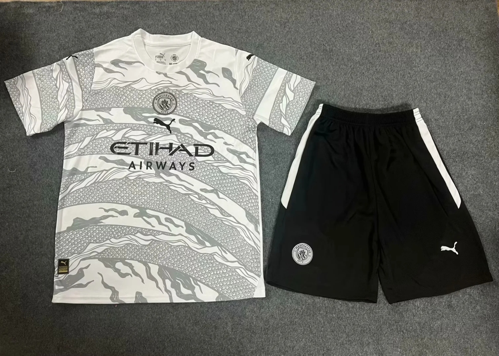 2024-25 Manchester City away adult kit jersey