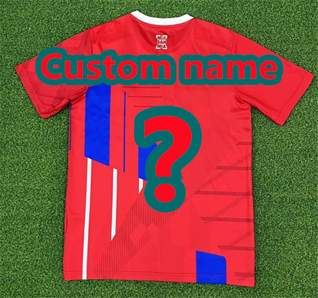 2024 Bayern training kit Thai version jersey