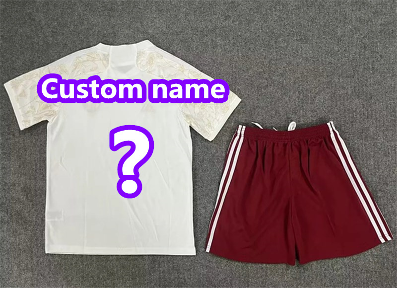 2024 Bayern Away Adult Kit Shirt