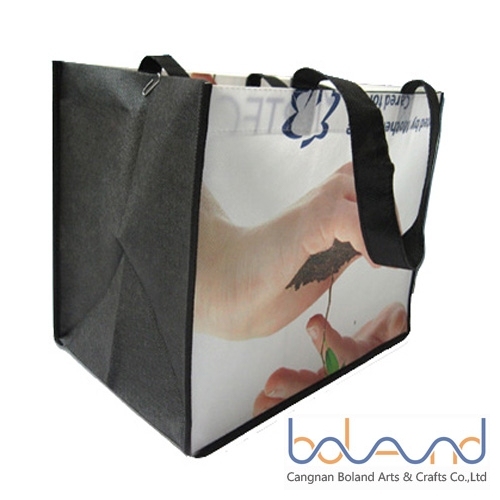 Non-woven Bag