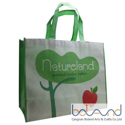 Non-woven Gift Bag