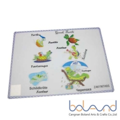 3D Lenticular Placemat