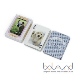 3D Playing Cards