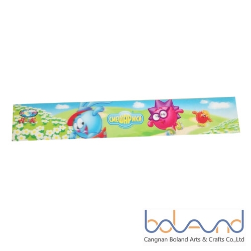 3D Plastic Ruler